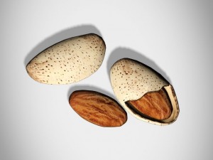almonds Model 3D