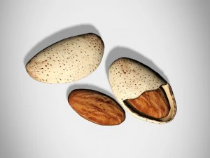 almonds 3D Model