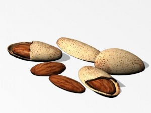 almonds Model 3D