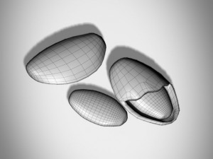 almonds Model 3D