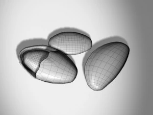 almonds 3D Model