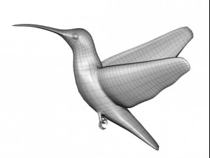 colibr&igrave; Modello 3D