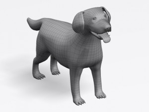 labrador retriever Model 3D