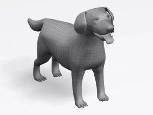 labrador retriever 3D Model
