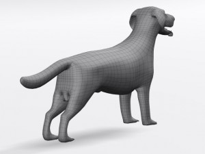 labrador retriever Model 3D
