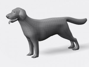 labrador retriever Model 3D