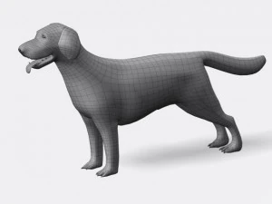 labrador retriever 3D Model