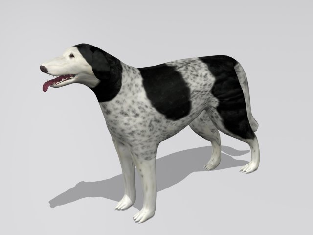 russian wolfhound borzoi Modello 3D .c4d .max .obj .3ds .fbx .stl .blend 