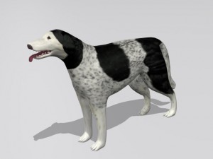 russian wolfhound borzoi 3D Model