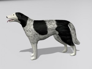 russian wolfhound borzoi Modello 3D
