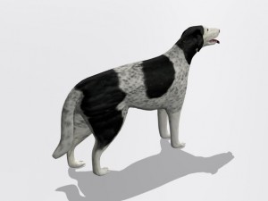 russian wolfhound borzoi Modello 3D