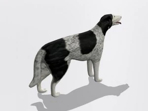 ロシアのウルフハウンド ボルゾイ 3Dモデル