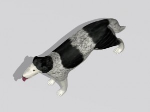 russian wolfhound borzoi Modello 3D