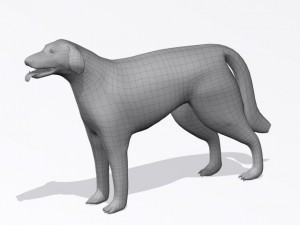russian wolfhound borzoi Modello 3D