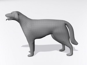 russian wolfhound borzoi Modello 3D