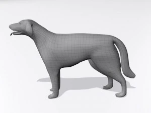 ロシアのウルフハウンド ボルゾイ 3Dモデル