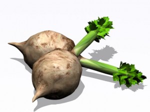 celery 3D Model