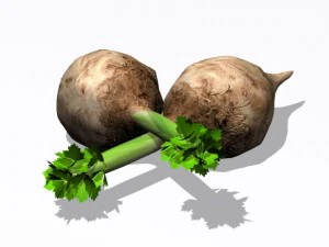 celery 3D Model