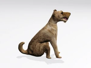sitting dog 3D Model