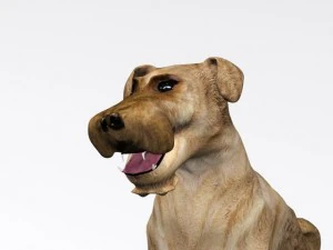 sitting dog 3D Model