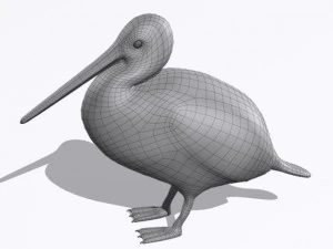 pelican 3D Model