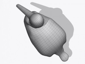 pelican Modello 3D