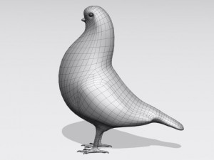 brown pigeon Model 3D