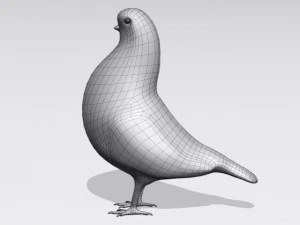 piccione marrone Modello 3D