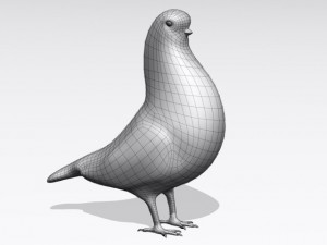 brown pigeon Model 3D