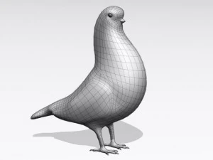 piccione marrone Modello 3D