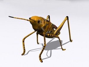 grasshopper Model 3D