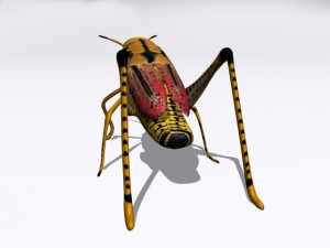 grasshopper Model 3D
