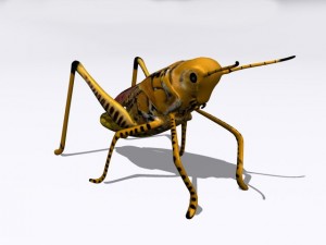 grasshopper Model 3D
