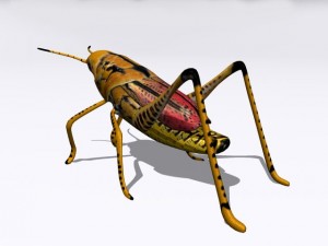 grasshopper Model 3D