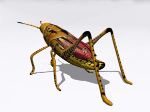 grasshopper 3D Model