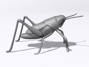 grasshopper Model 3D