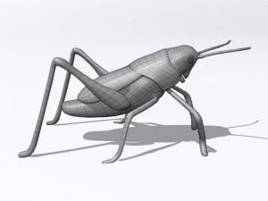 grasshopper 3D Model