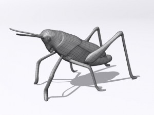 grasshopper Model 3D