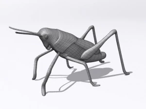 grasshopper 3D Model