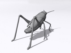 grasshopper Model 3D