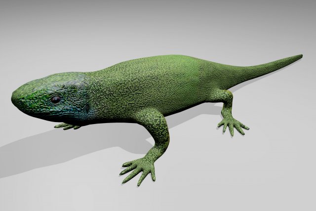 green lizard 3D मॉडल .c4d .max .obj .3ds .fbx .stl .blend 