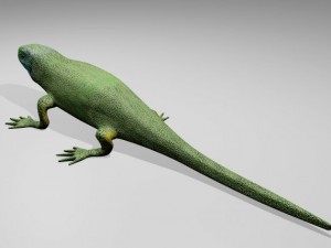 green lizard 3D मॉडल