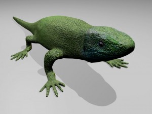 green lizard 3D मॉडल