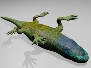 green lizard 3D मॉडल