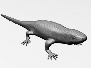 green lizard 3D मॉडल