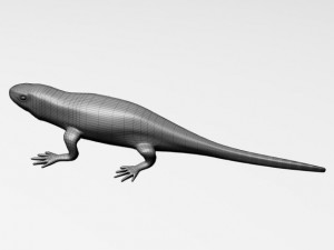 green lizard 3D मॉडल