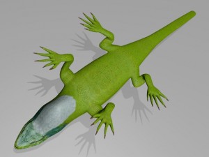 Anole lizard 3D Model