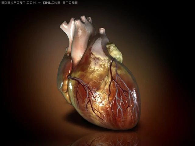 heart0 3D Model .c4d .max .obj .3ds .fbx .stl .blend 