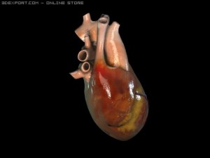 heart0 3D Model