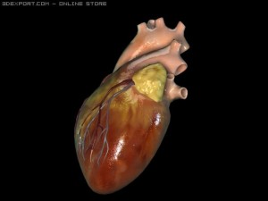heart0 3D Model